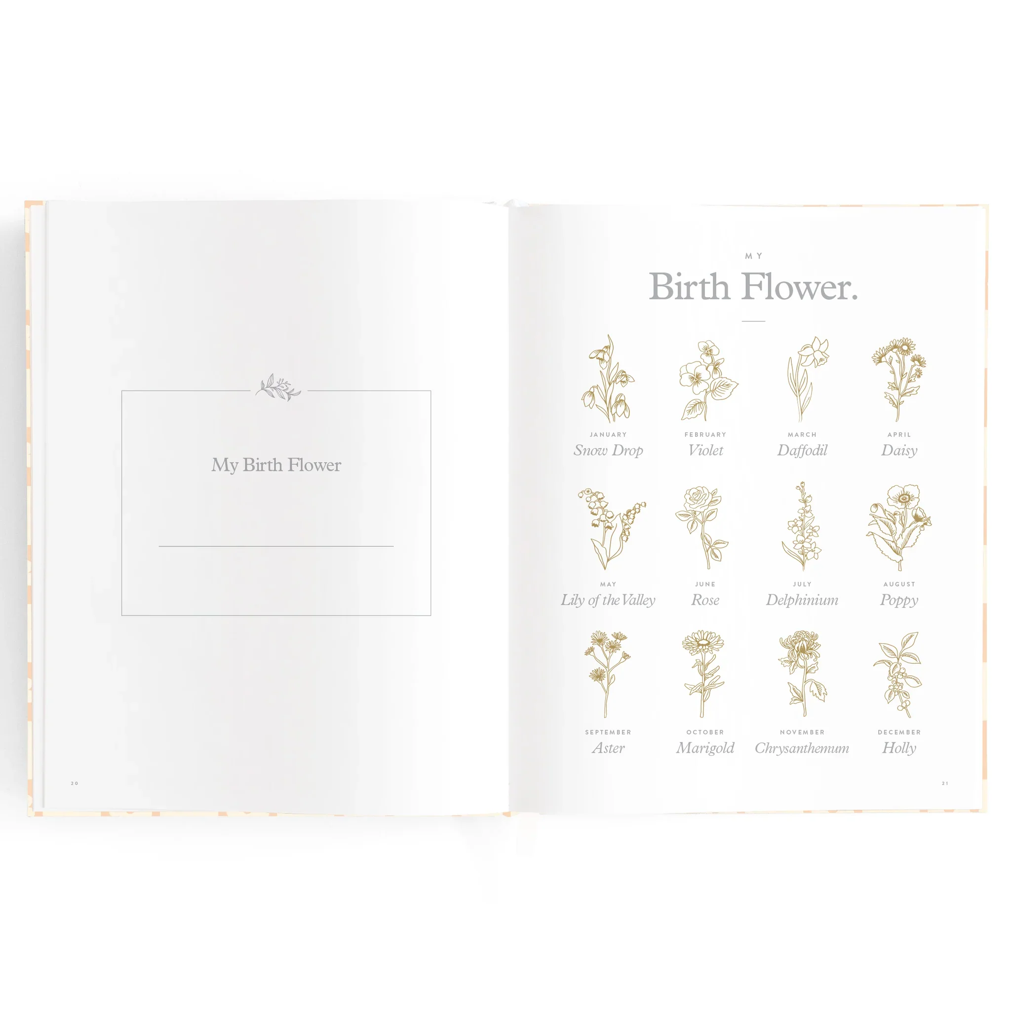 Baby Book | Coffee Stripe - Image 11