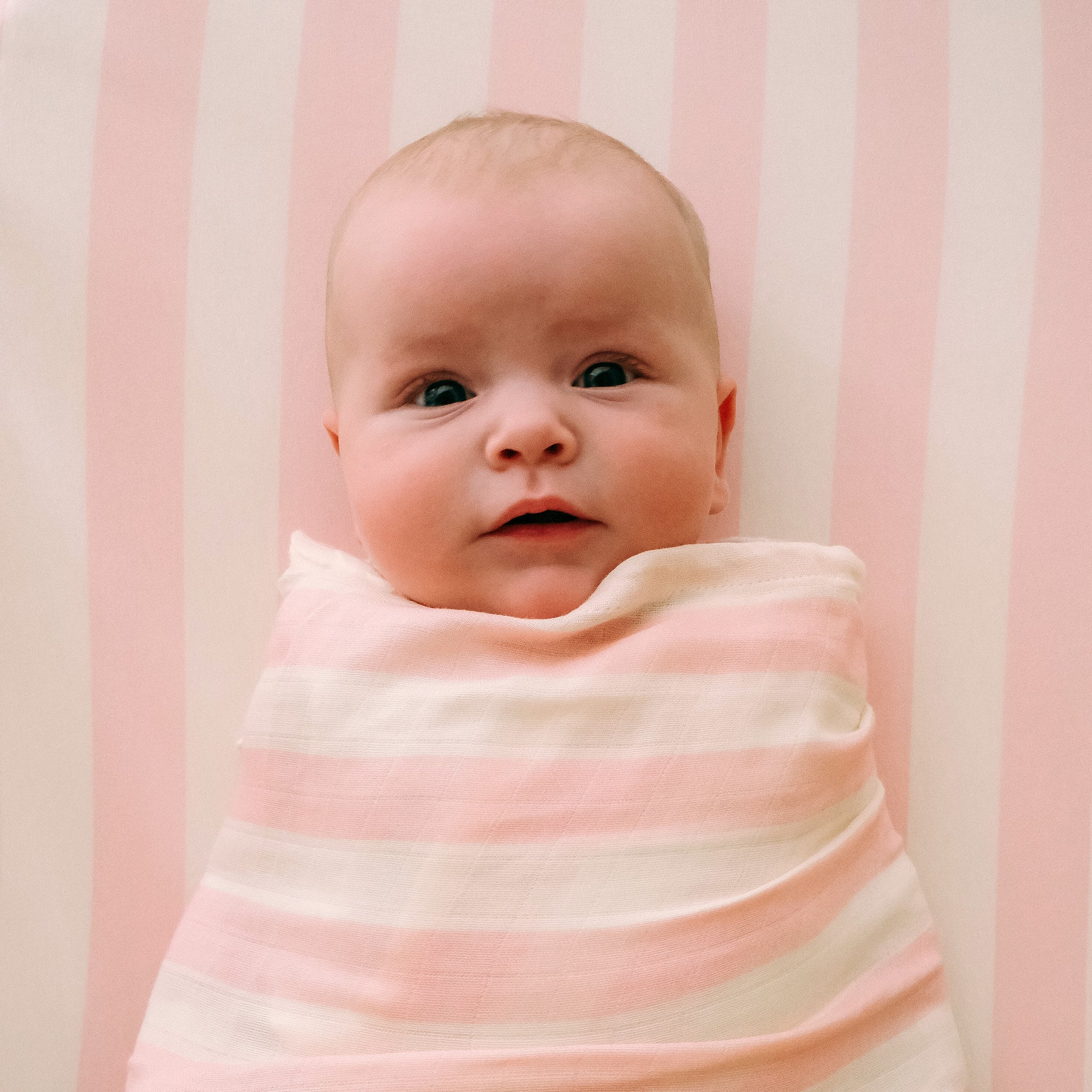 Cot | Fitted Sheet/Change Pad Cover | Organic - Petal Stripe - Image 12