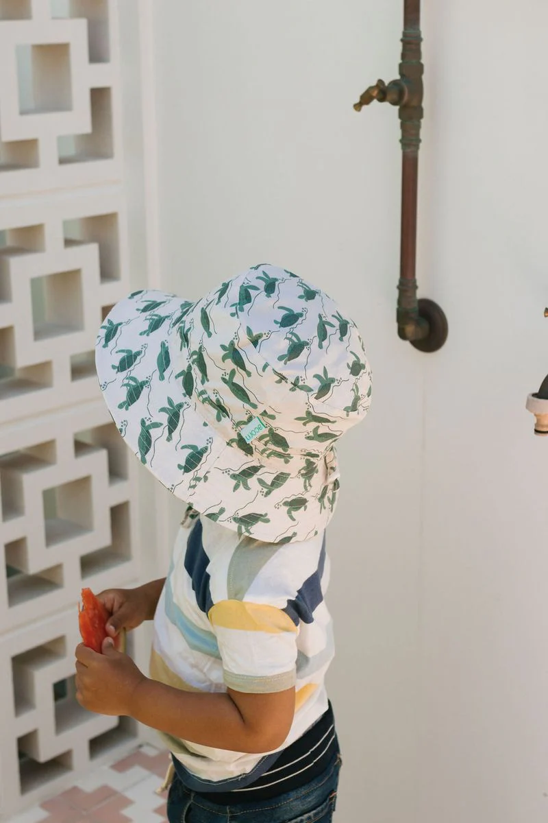 Hat | Wide Brim - Turtles - Image 4