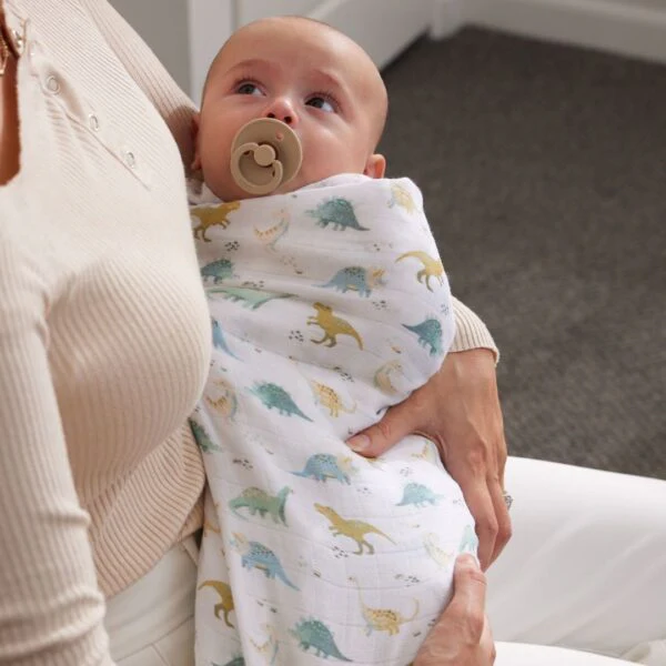 Muslin Wrap - Dallying Dinosaurs - Image 2