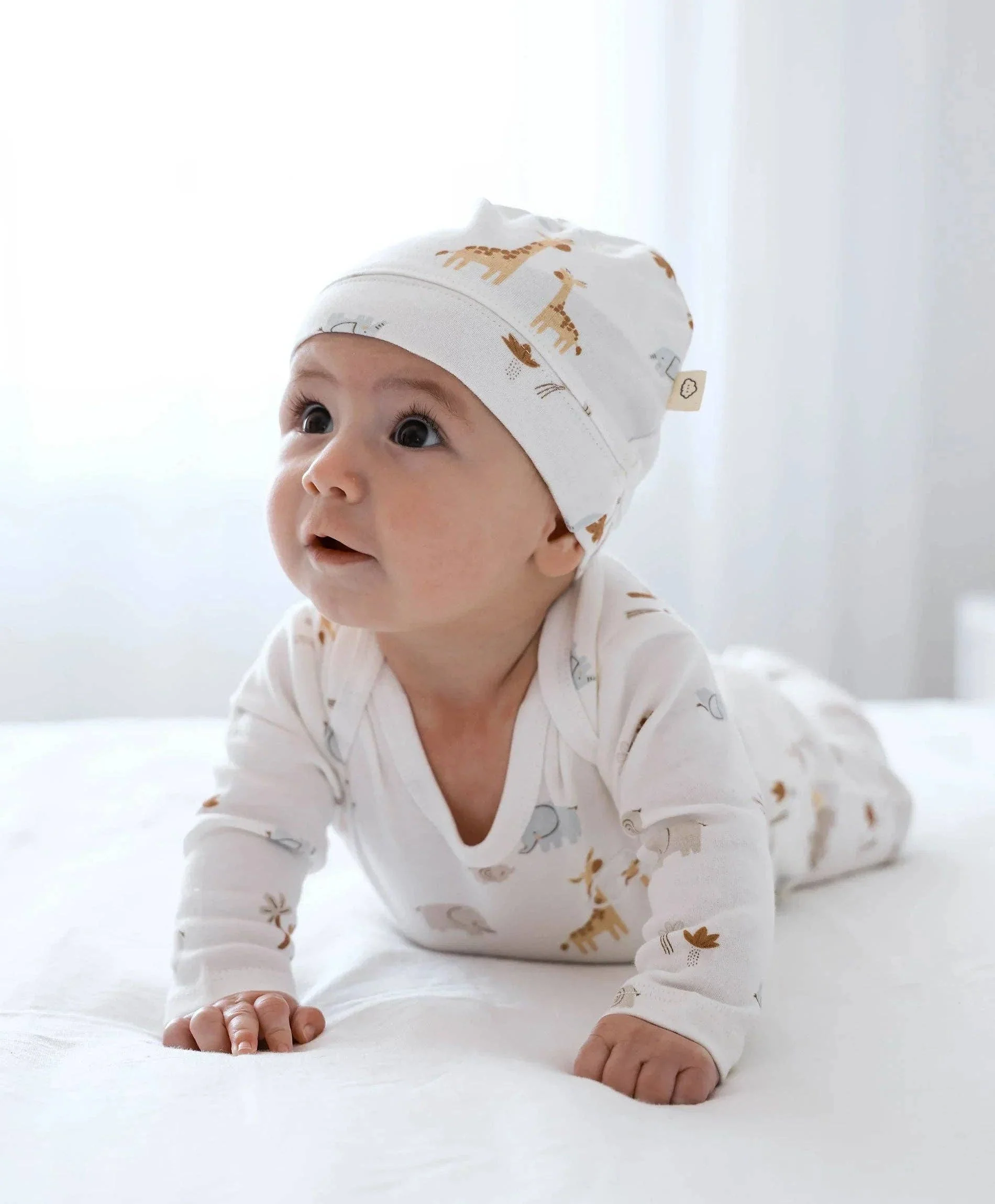 Organic Cotton 6PC Essentials Set - Safari - Image 3