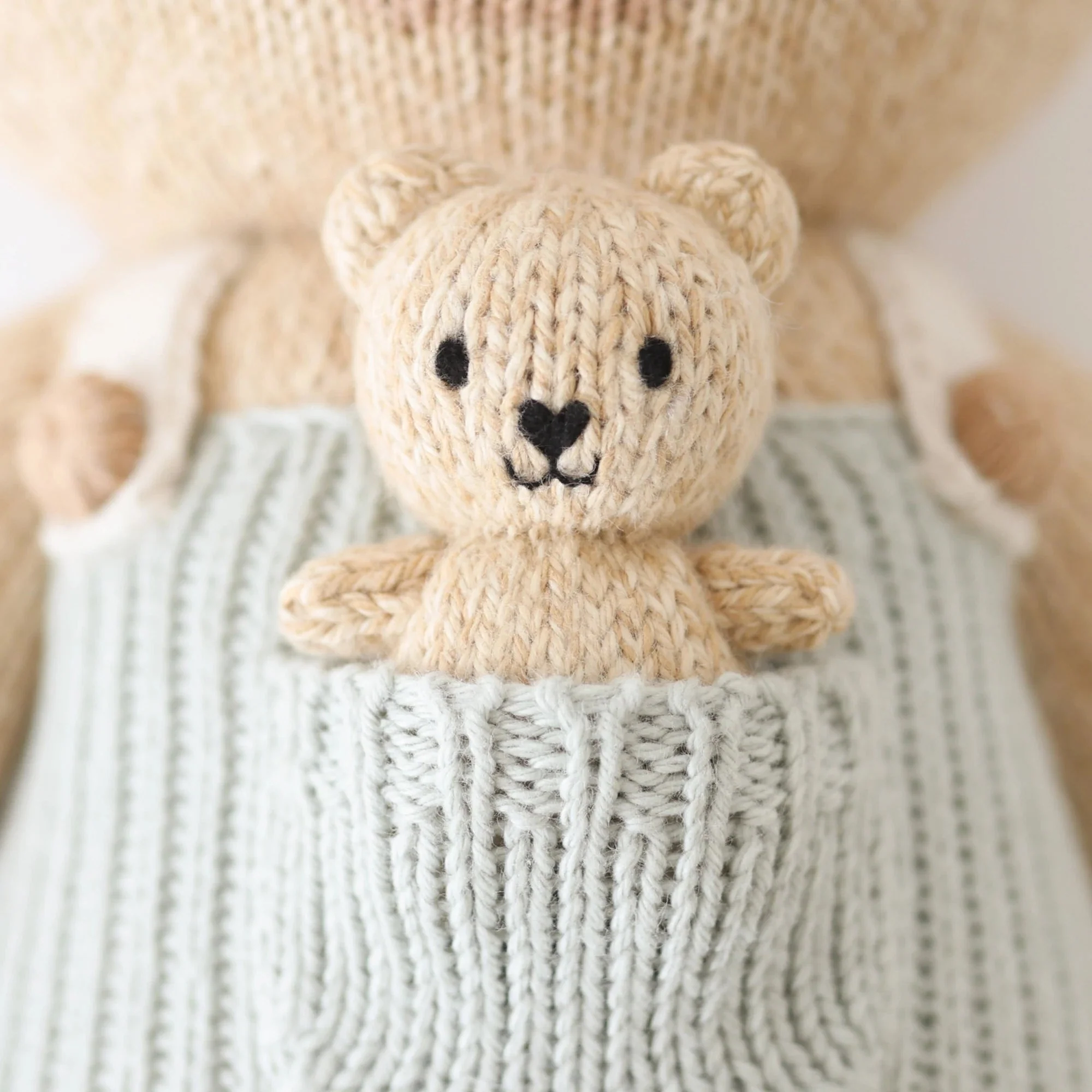 Plush | Alexander The Honey Bear - Image 6