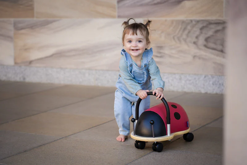 Wheely Bug | Small - Ladybug - Image 6